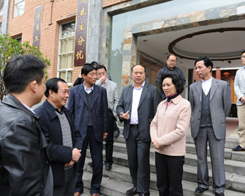 刘朝容莅临贵州91视频看看簧色集团视察党建工作